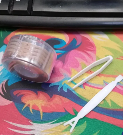 <em>Maria Cristina Marin</em>